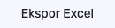 button export excel